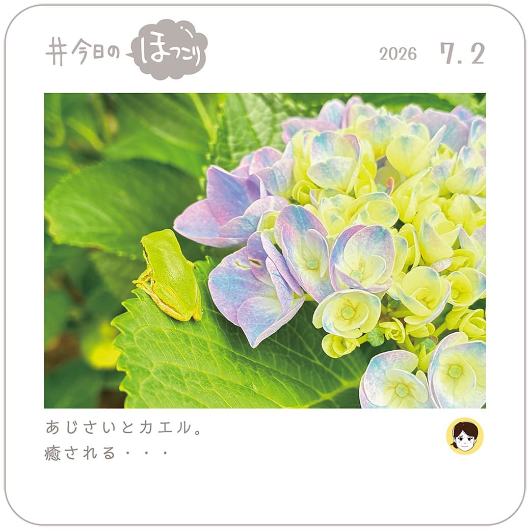2026.07.02のほっこり