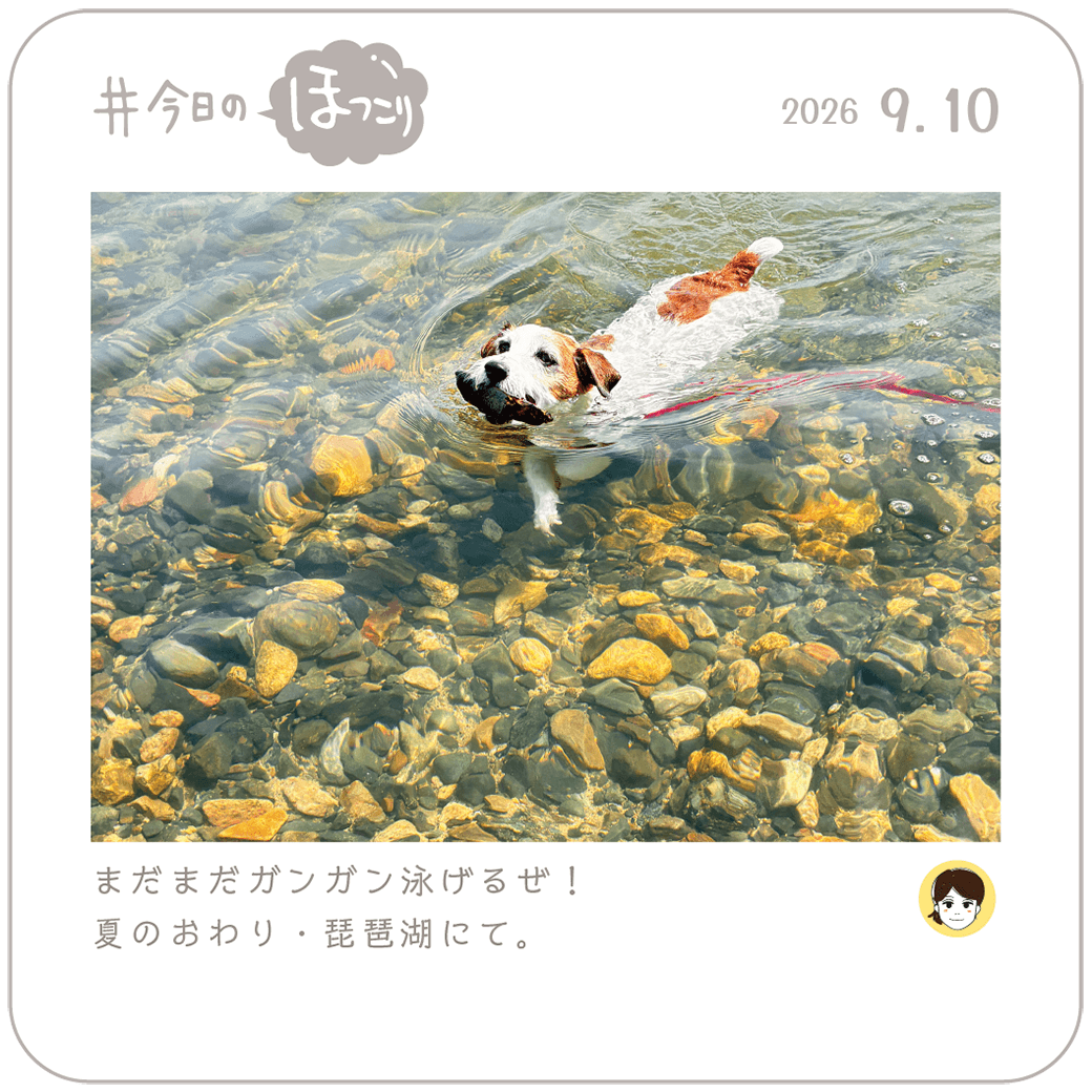 2026.09.10のほっこり