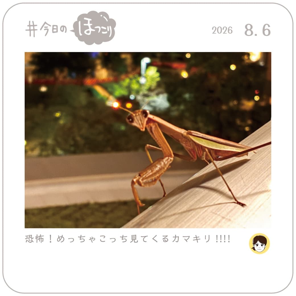 2026.08.06のほっこり