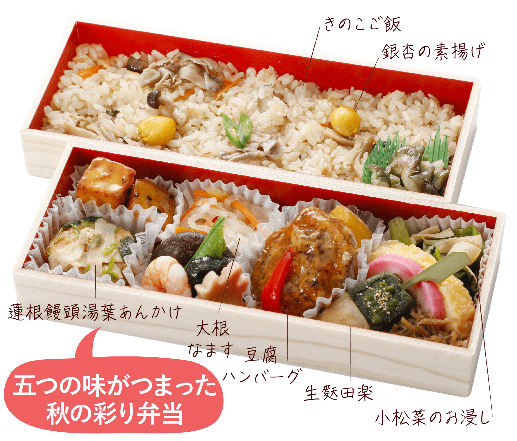 五つの味がつまった秋の彩り弁当