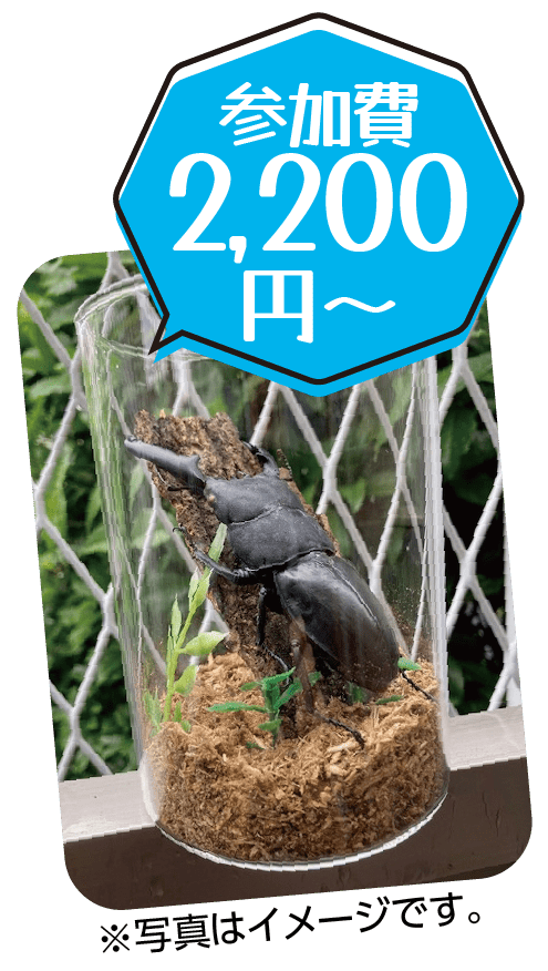 参加費2,200円〜